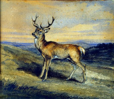 Il cervo da Antoine Louis Barye