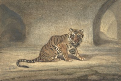 Tigre da Antoine Louis Barye