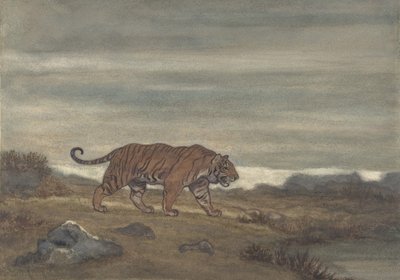 Tigre che si avvicina alla pozza da Antoine Louis Barye