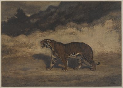 Tigre che cammina a sinistra da Antoine Louis Barye