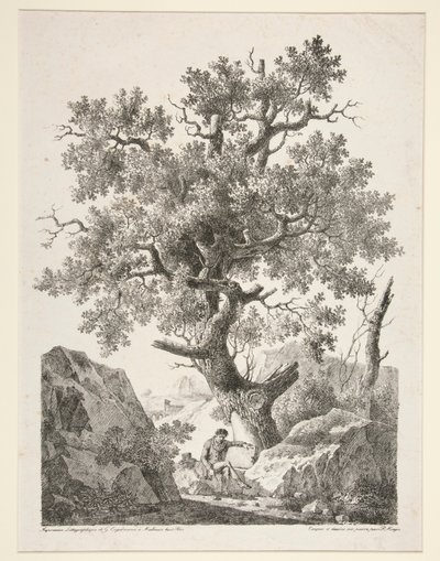 Senza titolo [Uomo seduto vicino a un albero] da Antoine Pierre Mongin