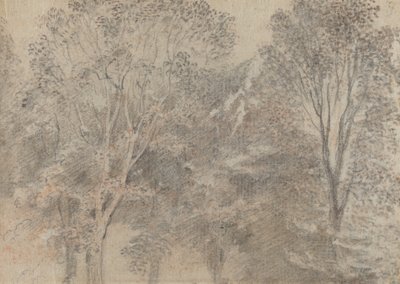 Cime degli alberi [verso] da Antoine Watteau