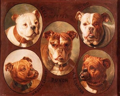 Nell, Dido, Punch, Maggie Lauder e Alexander, bulldog inglesi da Antoine or Tony Dury