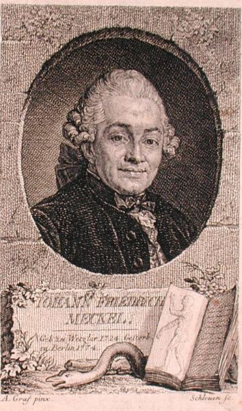 Ritratto di Johann Friedrich Meckel (1724-76) inciso da John Schleuen da Anton (after) Graff