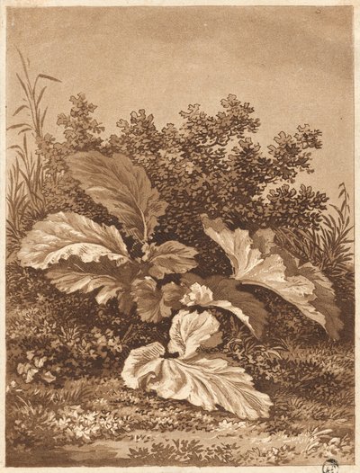 Studio di Foglie, c. 1800 da Anton Balzer