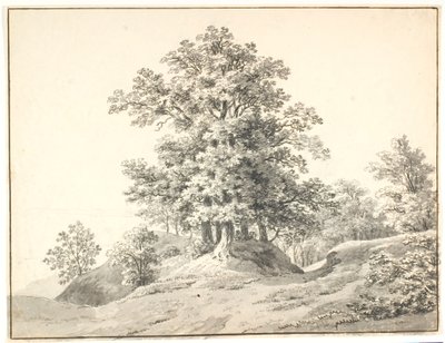 Paesaggio con grandi alberi presso l