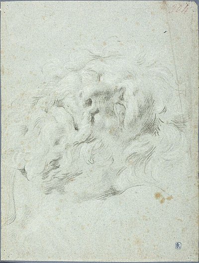 Testa del Gruppo Laocoon da Anton Domenico Gabbiani