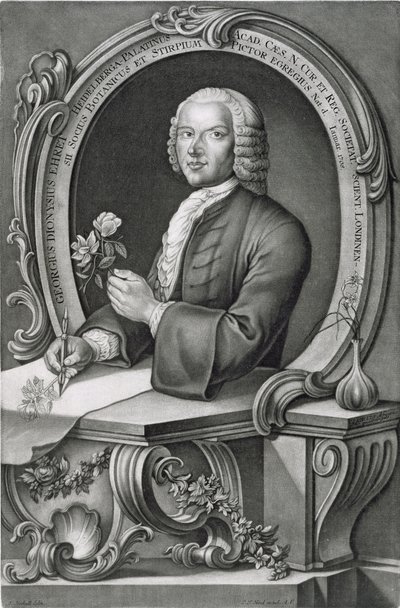 Ritratto di Georg Dionysius Ehret, inciso da Johann Jakob Haid da Anton Heckel