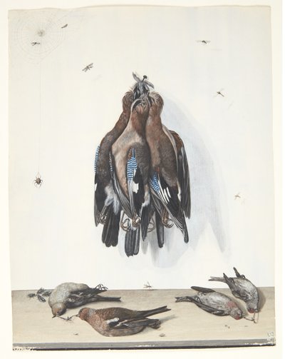Natura morta con uccelli da Anton Ignaz Hamilton