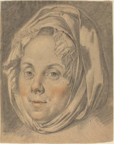 Testa di una matrona da Anton Johann Tischbein