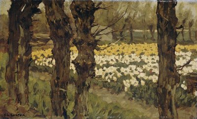 Campi di tulipani da Anton L. Koster