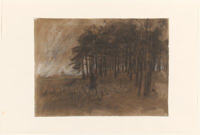 Bosrand da Anton Mauve