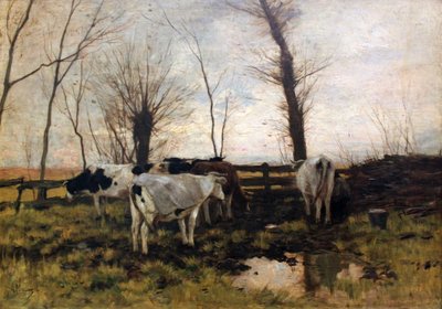 Vacche al pascolo da Anton Mauve