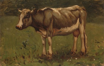 Mucca da Anton Mauve