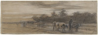 Mucche al tramonto da Anton Mauve