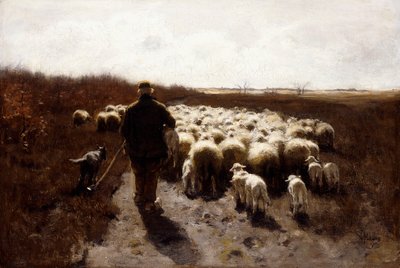 Il ritorno del gregge da Anton Mauve