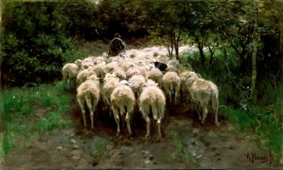 Pecore nella foresta, XIX secolo da Anton Mauve