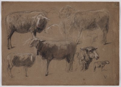 Studi di pecore, seconda metà del 1800 da Anton Mauve