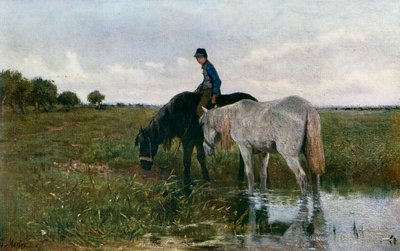Abbeverare i cavalli da Anton Mauve