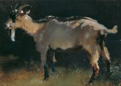 Capra da Anton Schrodl