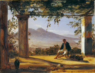 Italia, Sotto un pergolato con il Vesuvio sullo sfondo da Anton Sminck Pitloo