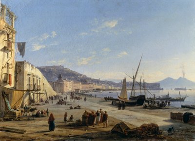 Veduta di Napoli con il Vesuvio sullo sfondo da Anton Sminck Pitloo