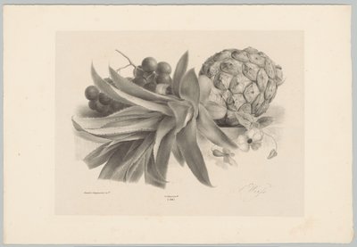 Ananas e uva da Anton Weiss