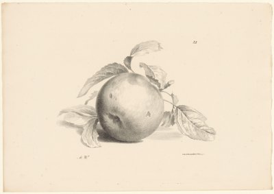 Frutta (serie) da Anton Weiss