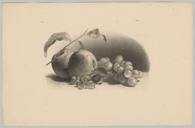 Mele, bacche, mora e uva (serie: Studi di fiori e frutta, 3ª puntata) da Anton Weiss