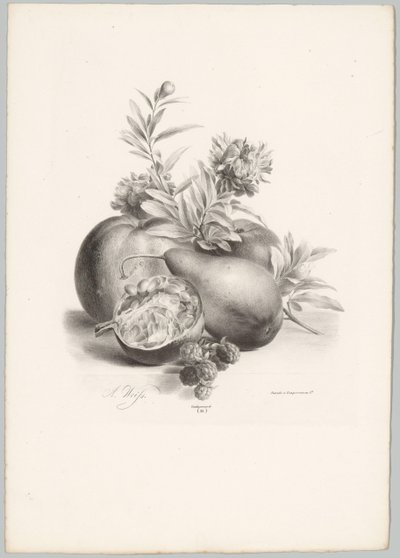 Fiori, mele, pera, melograno e more da Anton Weiss