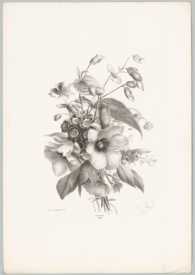 Fiori diversi da Anton Weiss