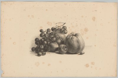 Uva e mele da Anton Weiss