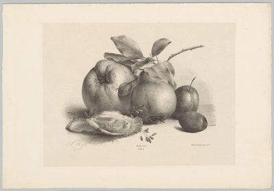 Frutta, prugne e ostriche da Anton Weiss