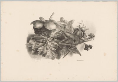 Fiori della passione e foglie da Anton Weiss