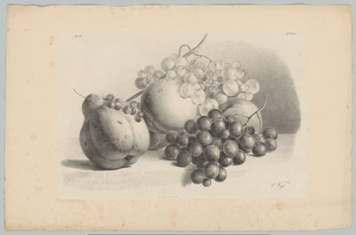 Zucca, bacche, uva e pesche da Anton Weiss