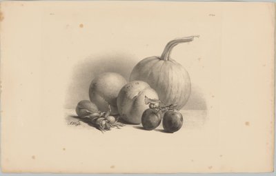 Zucca, pesche, albicocca, prugne e nocciole (serie: Studi di fiori e frutta, 3ª puntata) da Anton Weiss