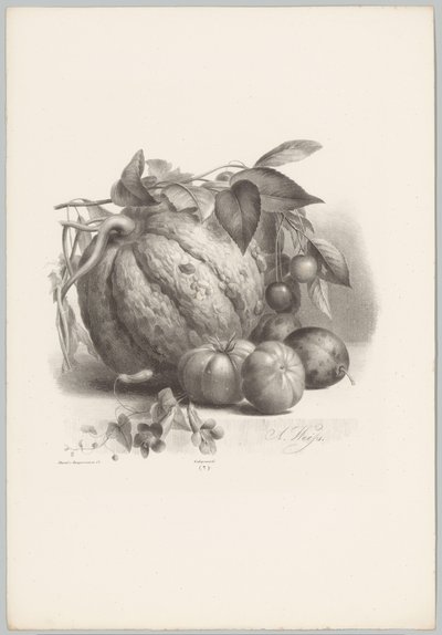 Zucca, pomodori e ciliegie da Anton Weiss