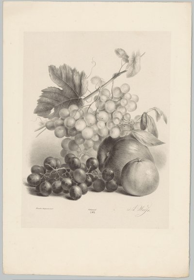 Uva rossa e bianca e mele da Anton Weiss