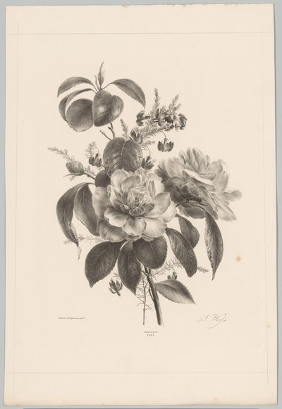 Rose e altri fiori da Anton Weiss