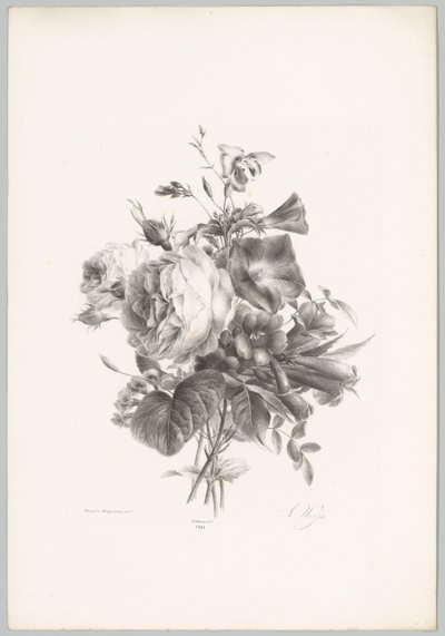Rose e fiori a calice da Anton Weiss