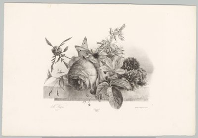 Rose, gigli, fiori a campana e farfalla (serie Bloem en Fruit Studien, 10e aflevering) da Anton Weiss