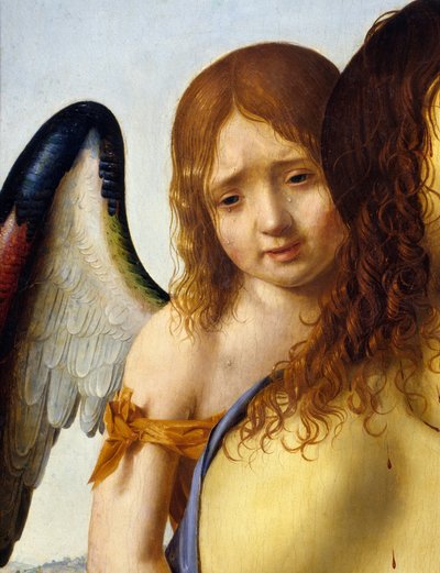 Dettaglio di 