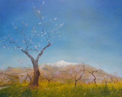 Fioritura di mandorli con Sierra Nevada innevata, 2016 da Antonia Myatt
