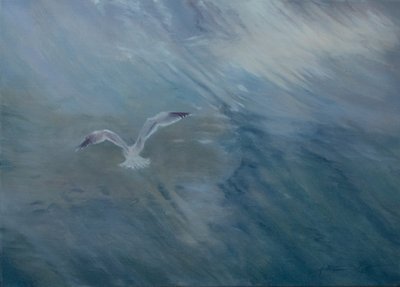 Gabbiano in volo, 2012 da Antonia Myatt