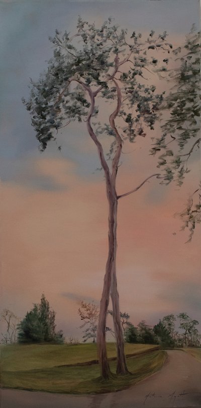 Alberi di Tapeley Park, 2013 da Antonia Myatt