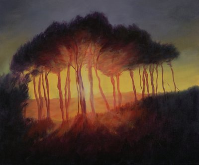 Alberi selvaggi al tramonto, 2002 da Antonia Myatt