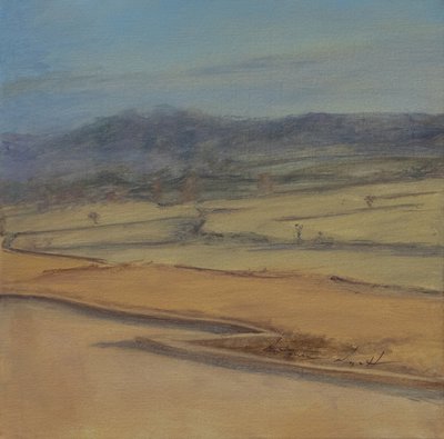 Siepe a zigzag, Somerset, 2022 da Antonia Myatt