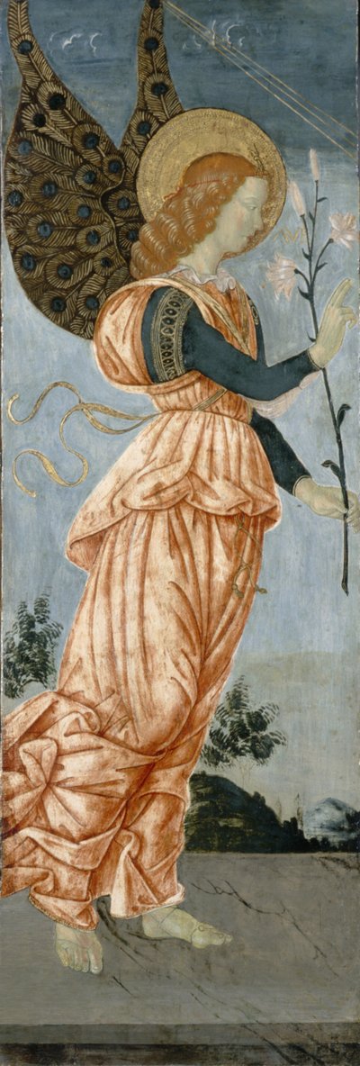 Angelo dell