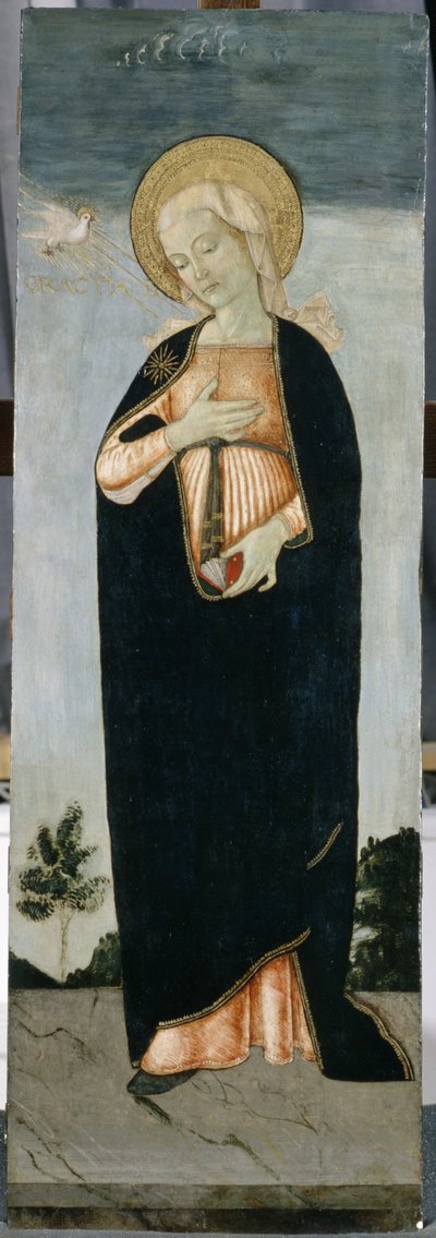 Maria all