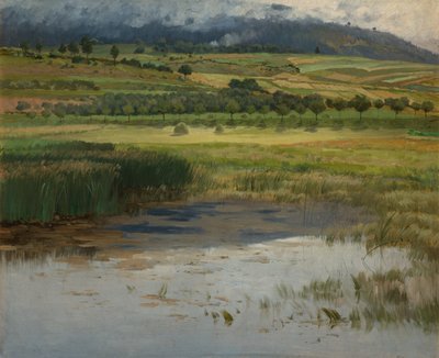 Lo stagno annegato da Antonin Chittussi